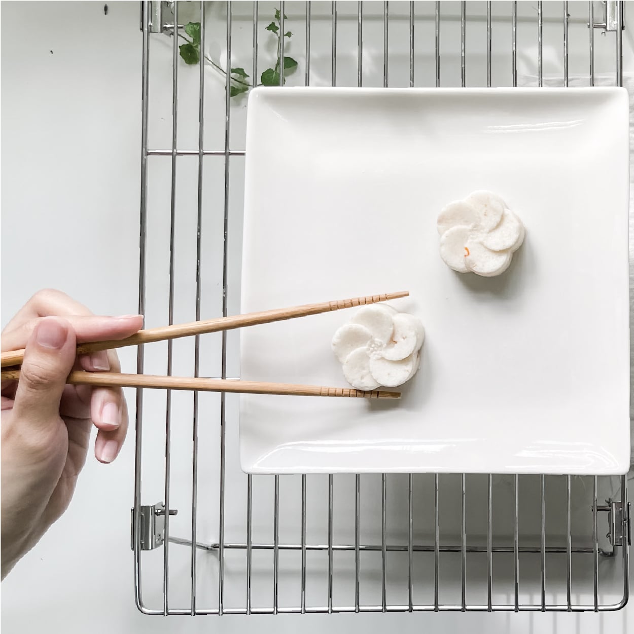 Oatmeal and calendula solid shampoo-01