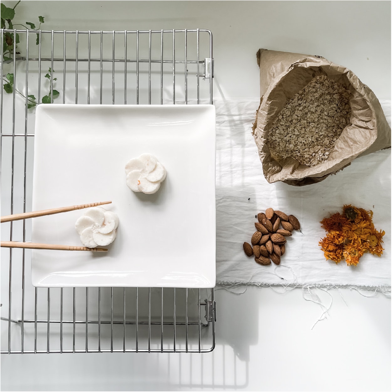 Oatmeal and calendula solid shampoo-02